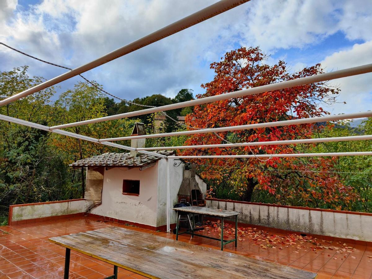 Villa Vicinus - 120 Mq - Parking - Garden Виетри Экстерьер фото