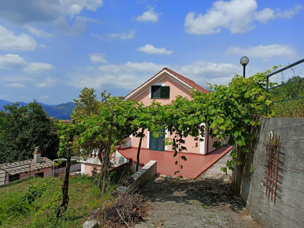 Villa Vicinus - 120 Mq - Parking - Garden Виетри Экстерьер фото